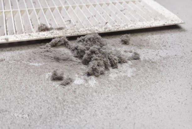 Home Air Vent Cleaning in Morton Grove, IL