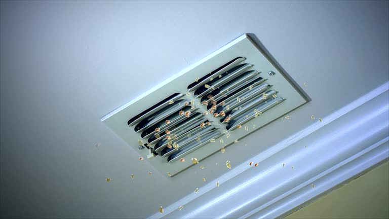 Best Residential Air Duct Cleaning  in Morton Grove, IL
