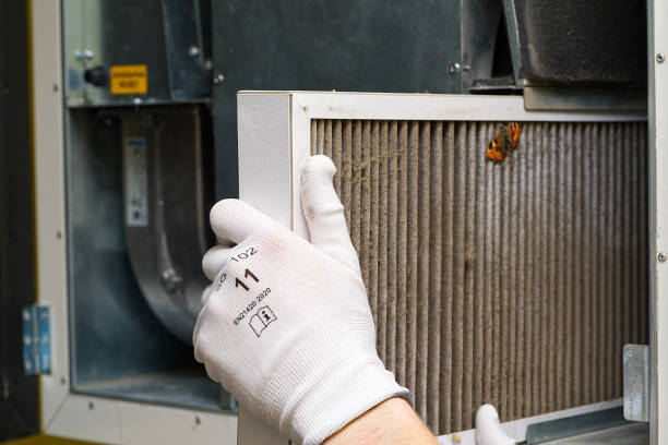 Best Air Duct Cleaning Near Me  in Morton Grove, IL