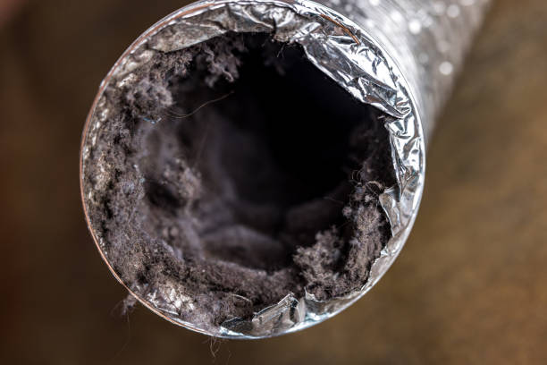Best Affordable Air Duct Cleaning  in Morton Grove, IL
